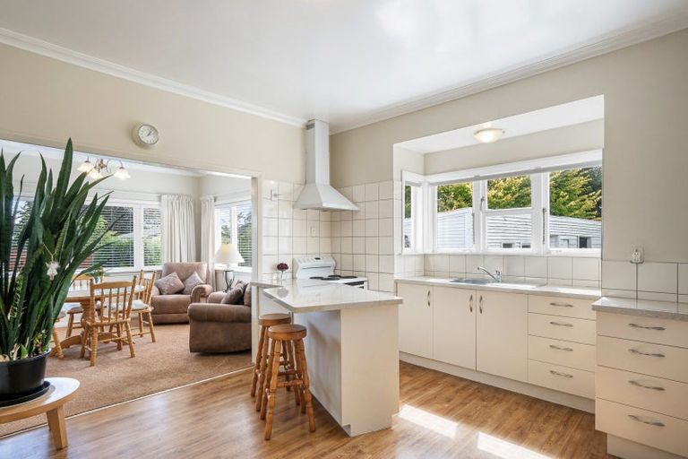 Photo of property in 46 Keepa Street, Levin, 5510