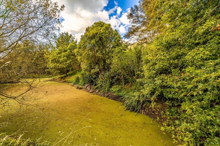 Photo of property in 263b Horahora Road, Piarere, Tirau, 3484