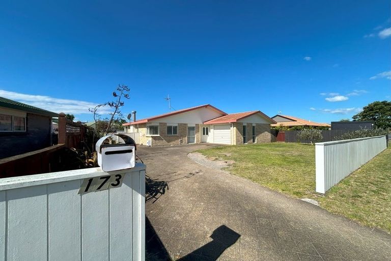 Photo of property in 173 Grenada Street, Mount Maunganui, 3116