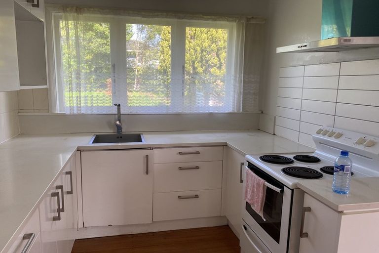 Photo of property in 141 Seabrook Avenue, New Lynn, Auckland, 0600