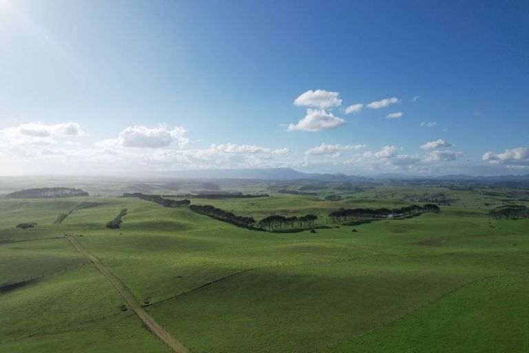 Photo of property in 177 Rehutai Road, Baylys Beach, 0377