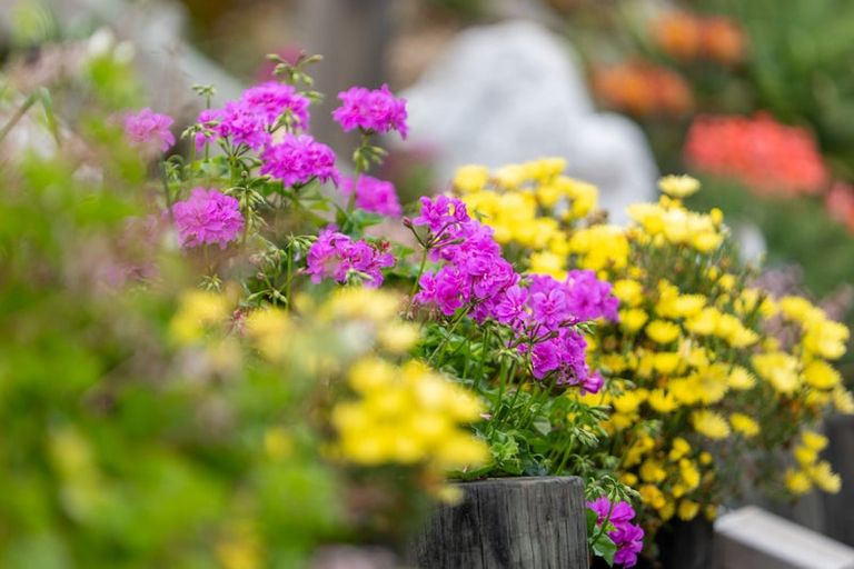 Photo of property in 7 Toi Track, Russell, 0272