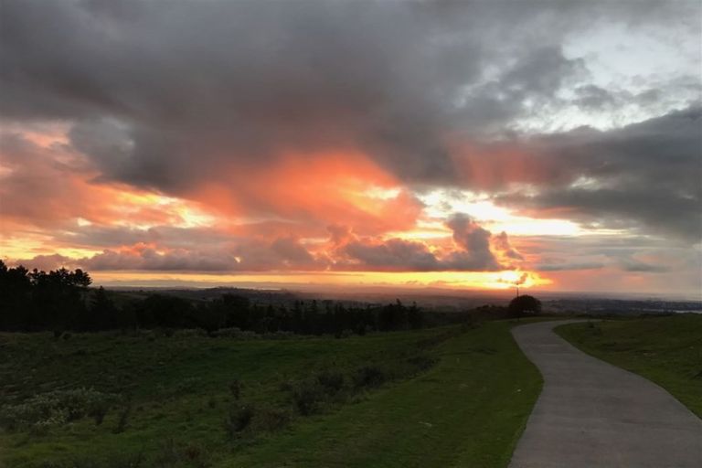 Photo of property in 167 Solway Road, Whitford, Manurewa, 2576