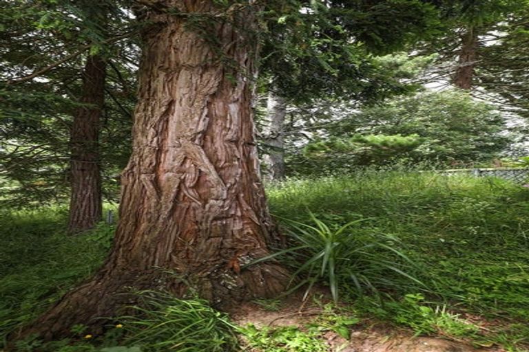 Photo of property in 114a Plantation Road, Rangiriri, Te Kauwhata, 3782