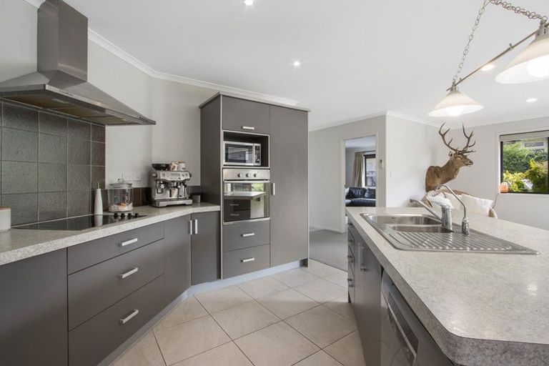 Photo of property in 51 Wills Road, Katikati, 3129