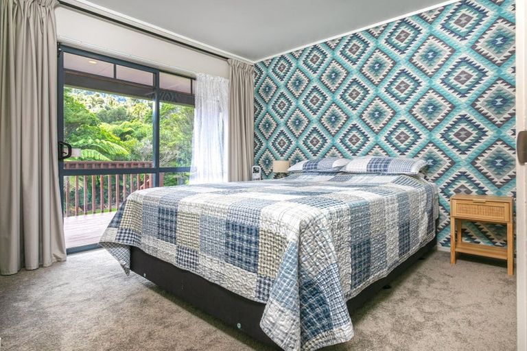 Photo of property in 738 The 309 Road, Waiau, Coromandel, 3581