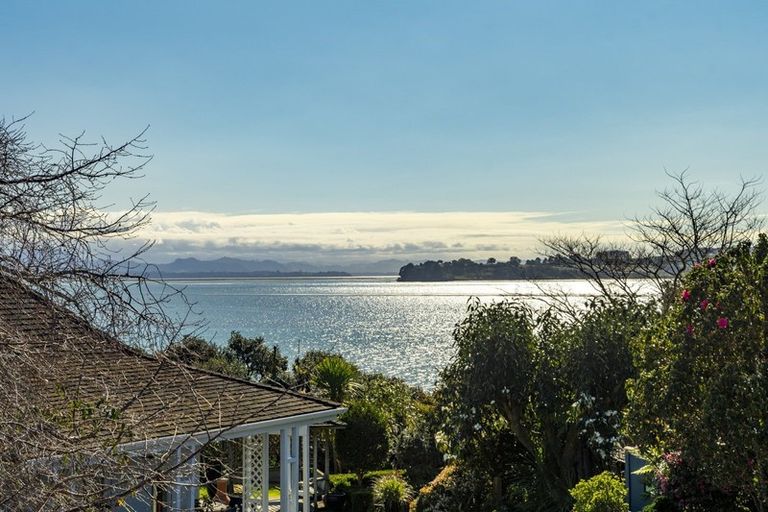 Photo of property in 19 Walnut Grove, Omokoroa, 3114