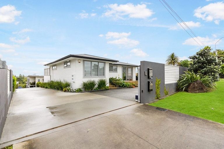 Photo of property in 38 Exmouth Road, Northcote, Auckland, 0627