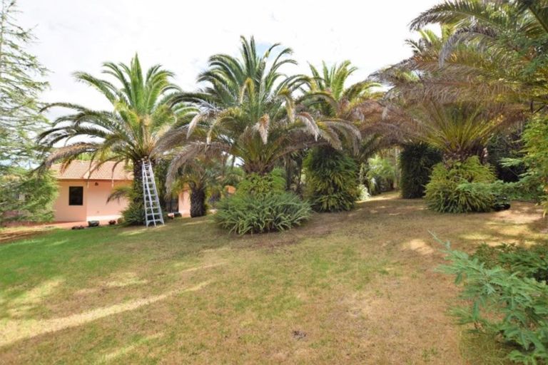 Photo of property in 4 Burgundy Park Avenue, Henderson, Auckland, 0612