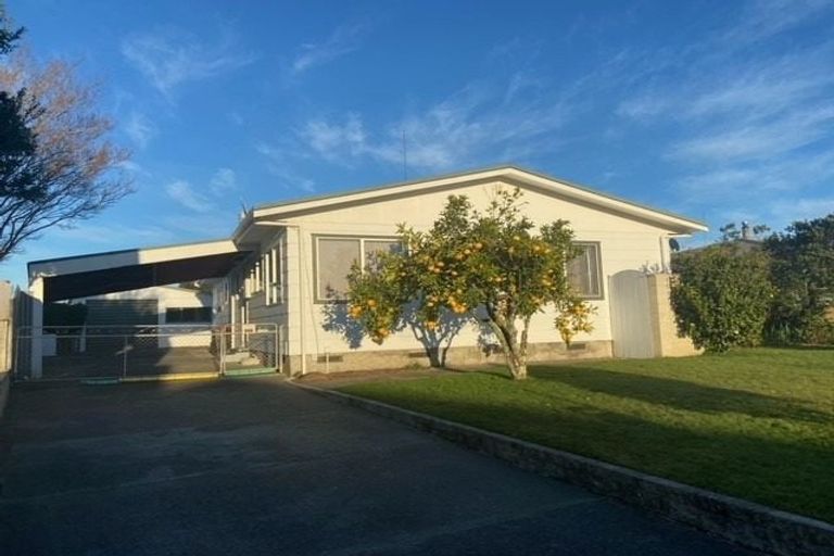 Photo of property in 25 Bristol Street, Tamatea, Napier, 4112