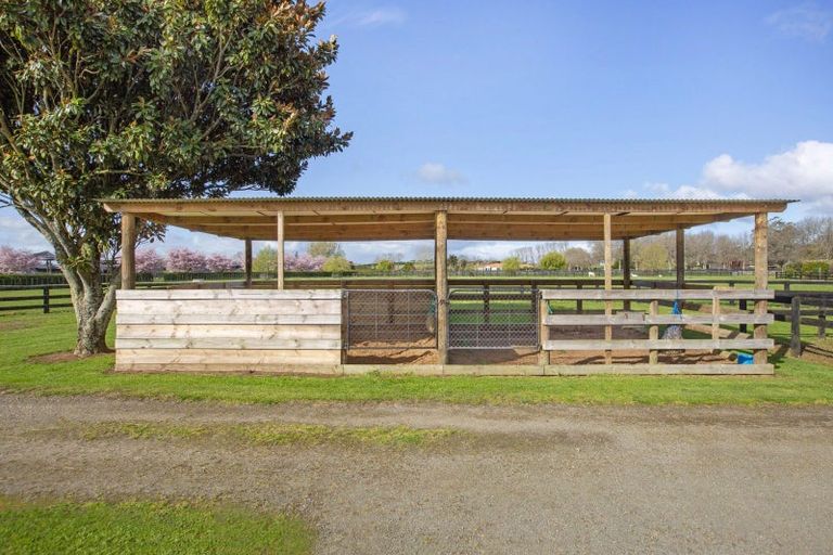 Photo of property in 373 Mystery Creek Road, Ohaupo, 3881