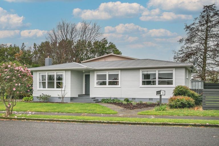 Photo of property in 3 Conway Street, Levin, 5510