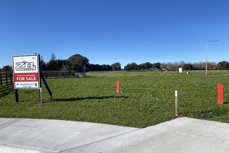 Photo of property in 6 Whakahaumako Road, Leamington, 3495