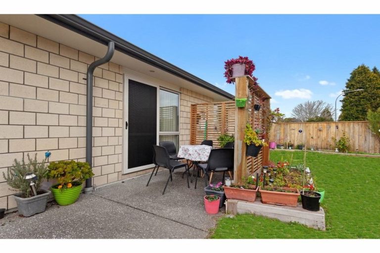 Photo of property in 1a Russell Street, Whakatane, 3120