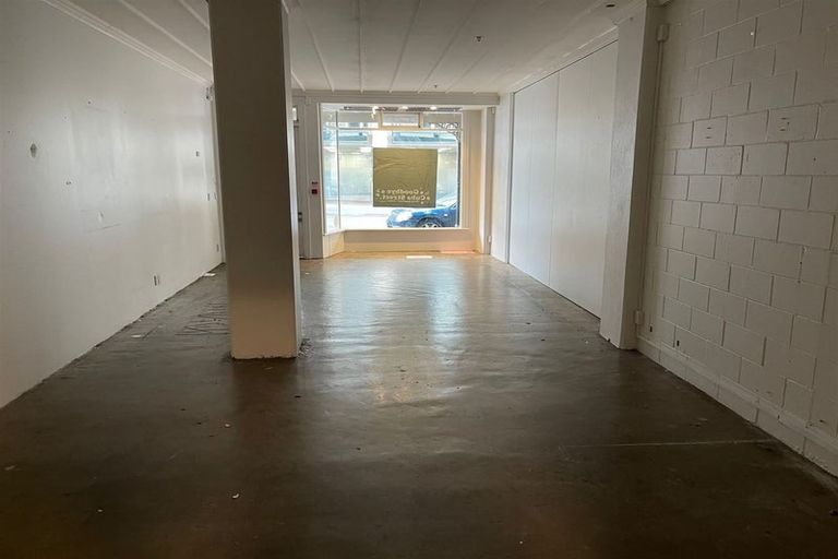 Photo of property in The Wellington Suites, 892/233 Cuba Street, Te Aro, Wellington, 6011