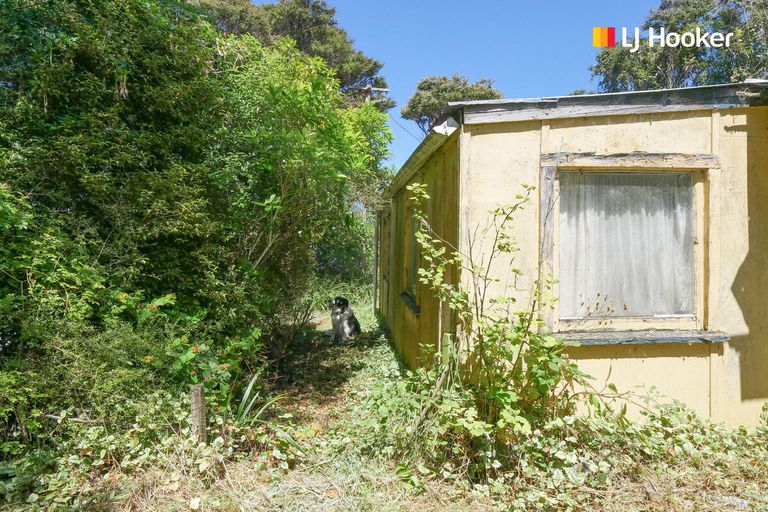 Photo of property in 101 Coast Road, Warrington, Waikouaiti, 9471