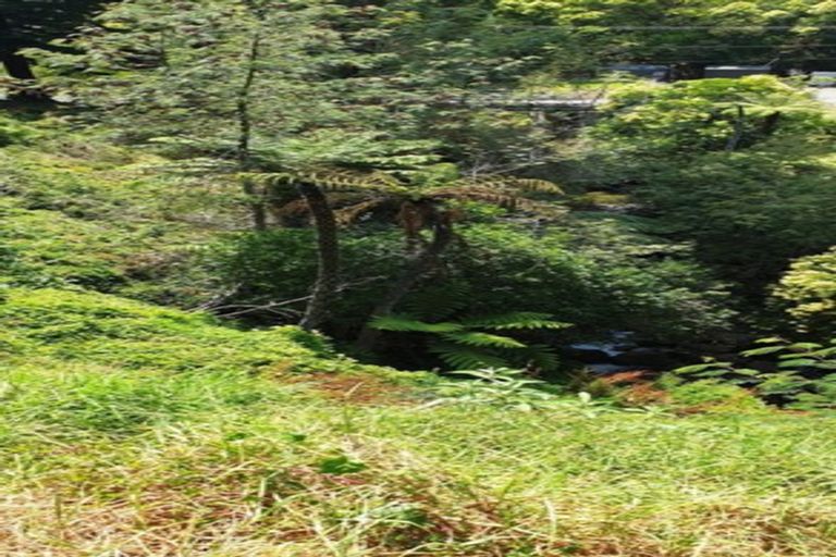 Photo of property in 105 Irishtown Road, Thames, 3500