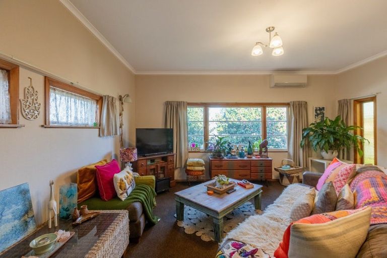 Photo of property in 800 Clive Street, Akina, Hastings, 4122