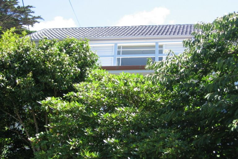 Photo of property in 5 Anderson Terrace, Mount Cook, Wellington, 6021