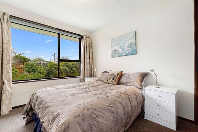 Photo of property in 19 Craven Street, Sockburn, Christchurch, 8042