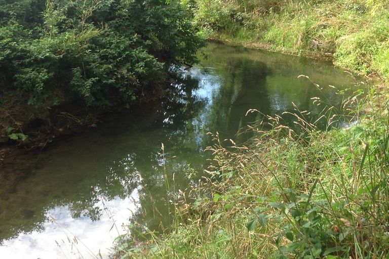 Photo of property in 555 Lower Sefton Road, Sefton, Rangiora, 7477