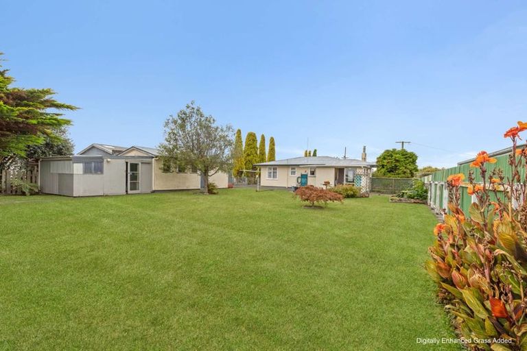 Photo of property in 14 Elizabeth Street, Feilding, 4702
