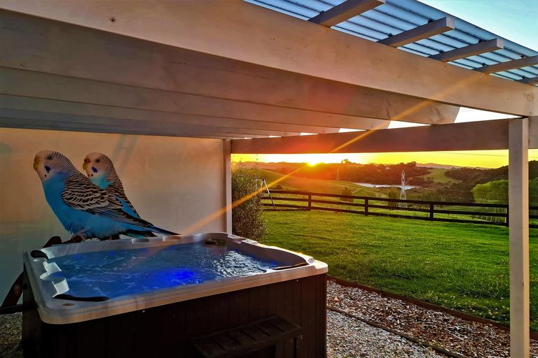 Photo of property in 9 Mountain Road, Kaiwaka, 0587