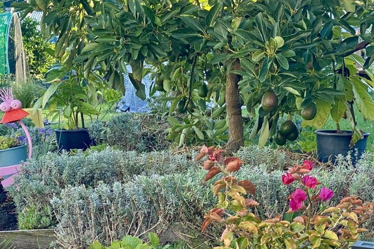 Photo of property in 29 Churchill Crescent, Tawhero, Whanganui, 4501