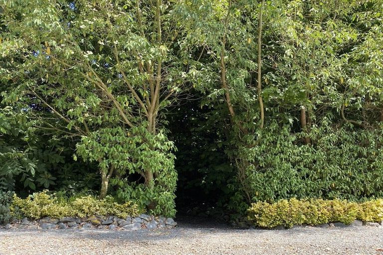 Photo of property in 98 Hawke Road, Orari, Geraldine, 7992