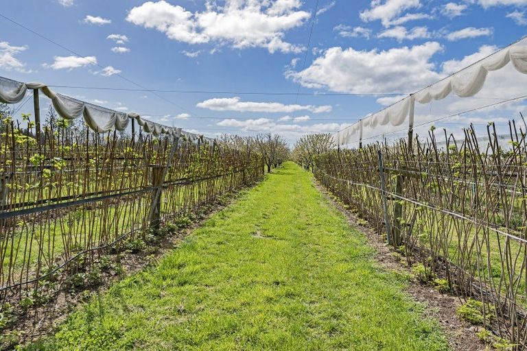 Photo of property in 1520 Tram Road, Swannanoa, Rangiora, 7475