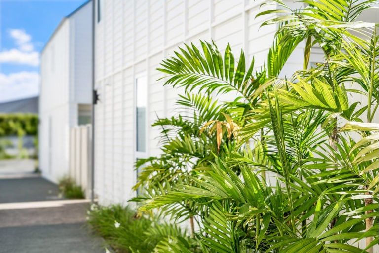 Photo of property in 6 Titoki Close, Matakana, Warkworth, 0985