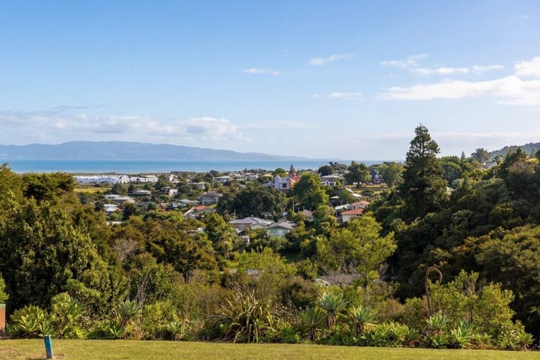 Photo of property in 228 The Booms Avenue, Thames, 3500