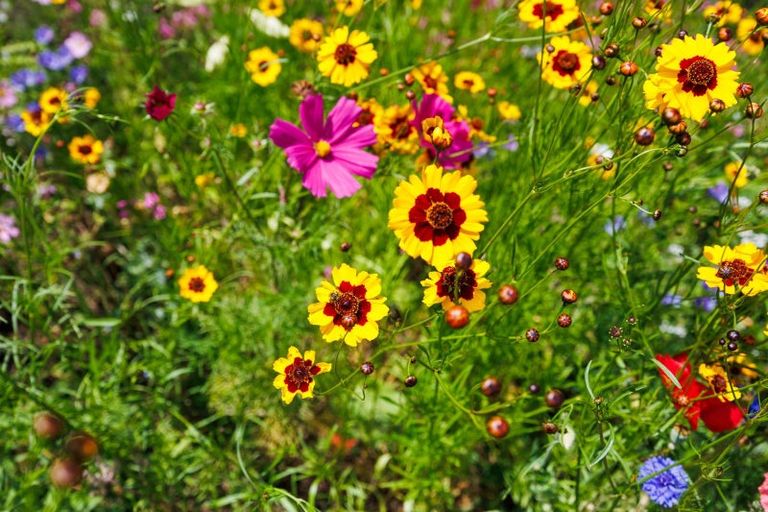 Photo of property in 476 Finnis Road, Pohangina, Feilding, 4775