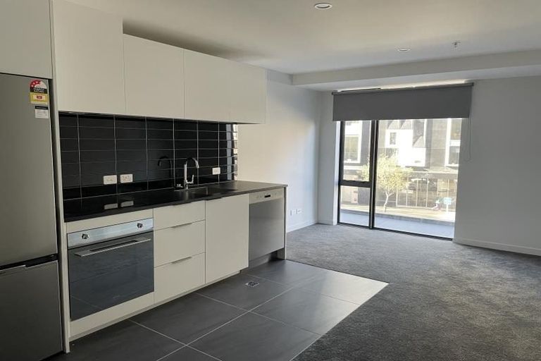 Photo of property in Pinnacle Apartments, E102/160 Victoria Street, Te Aro, Wellington, 6011