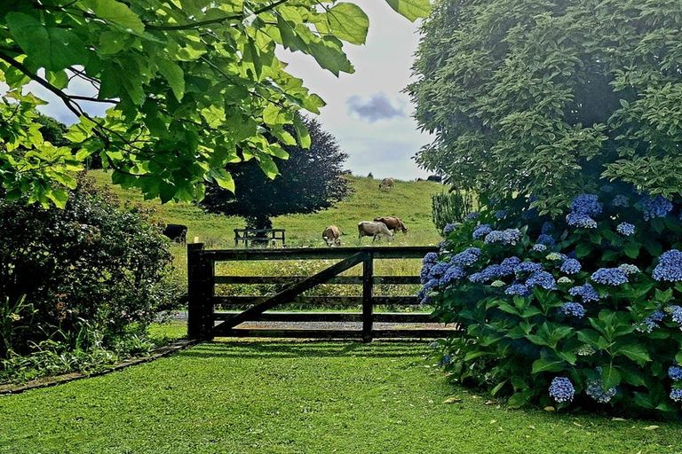 Photo of property in 14 Victoria Street, Waikino, Waihi, 3682