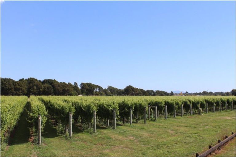 Photo of property in 17 Riverside Drive, Ohau, 5570