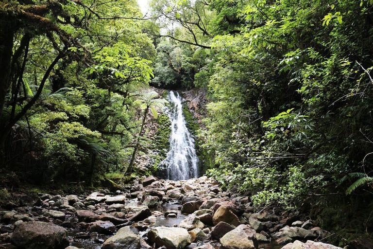 Photo of property in 1052 Wekaweka Road, Waimamaku, Kaikohe, 0473