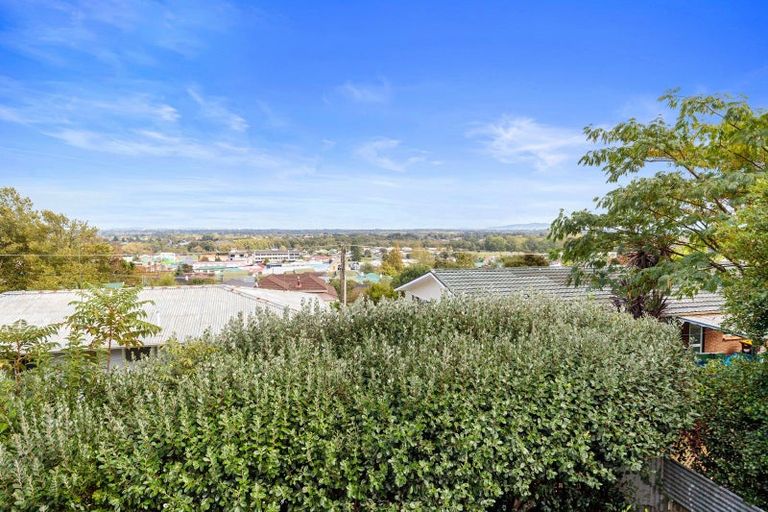 Photo of property in 17 Puriri Street, Te Aroha, 3320