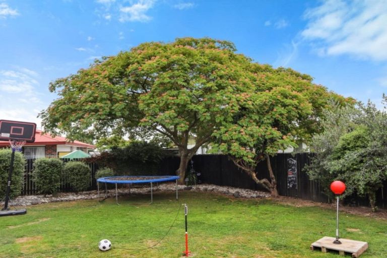 Photo of property in 6 Rata Place, Witherlea, Blenheim, 7201