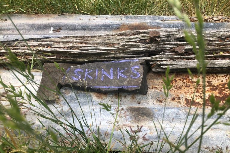 Photo of property in 624 Kyeburn-hyde Road, Kokonga, Ranfurly, 9397