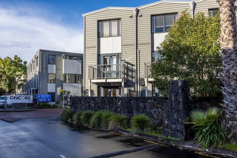 Photo of property in 39 Dovedale Place, Parnell, Auckland, 1010