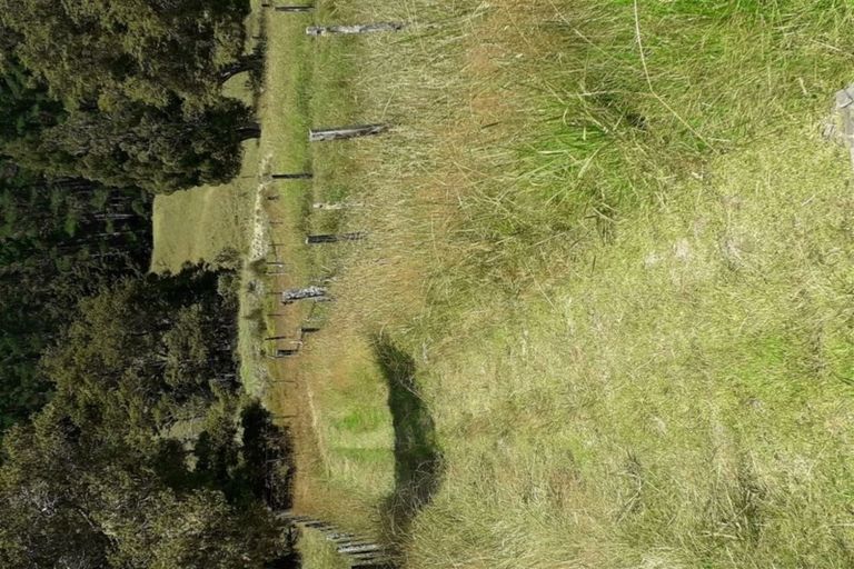 Photo of property in 246 Te Tio Road, Umawera, Okaihau, 0476