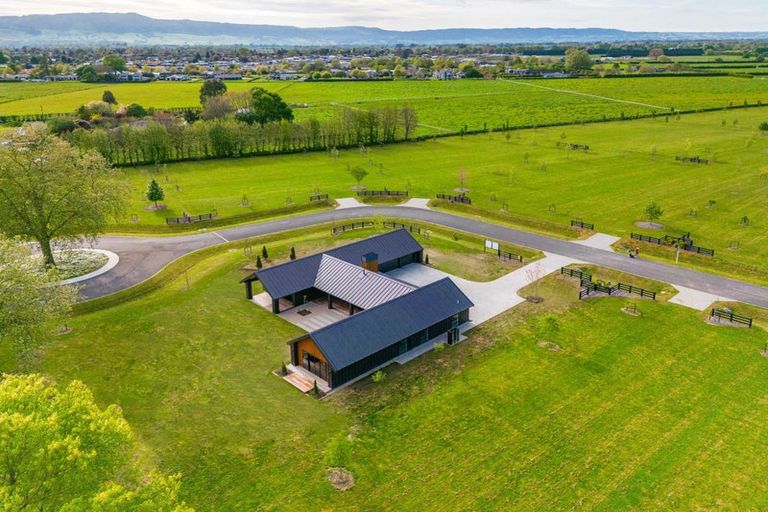 Photo of property in 7 Orchard Place, Matamata, 3472