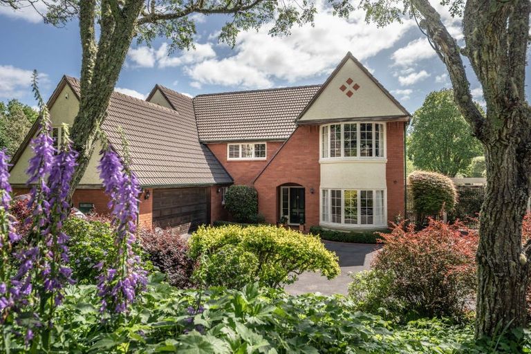 Photo of property in 115 Te Awa Road, Tamahere, Hamilton, 3283