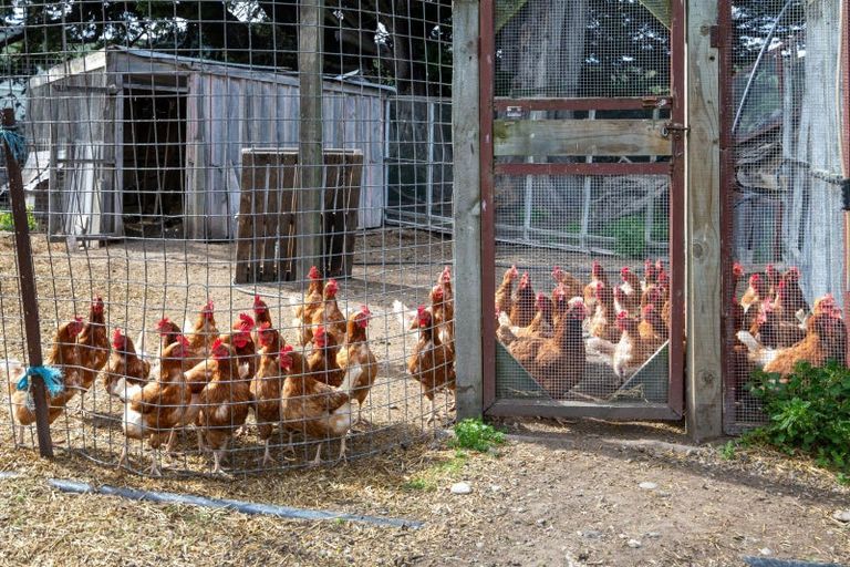 Photo of property in 1905 Christchurch Akaroa Road, Gebbies Valley, Christchurch, 7672