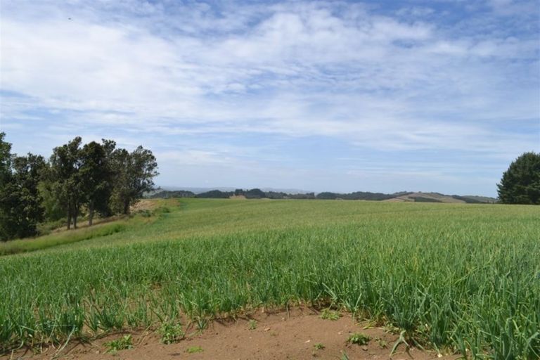 Photo of property in 59 Lee Road, Te Kohanga, 2693