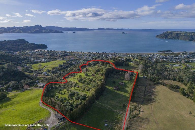 Photo of property in 899f Purangi Road, Cooks Beach, Whitianga, 3591