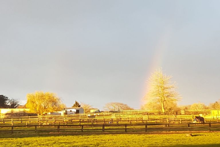Photo of property in 32 Banks Road, Matamata, 3473