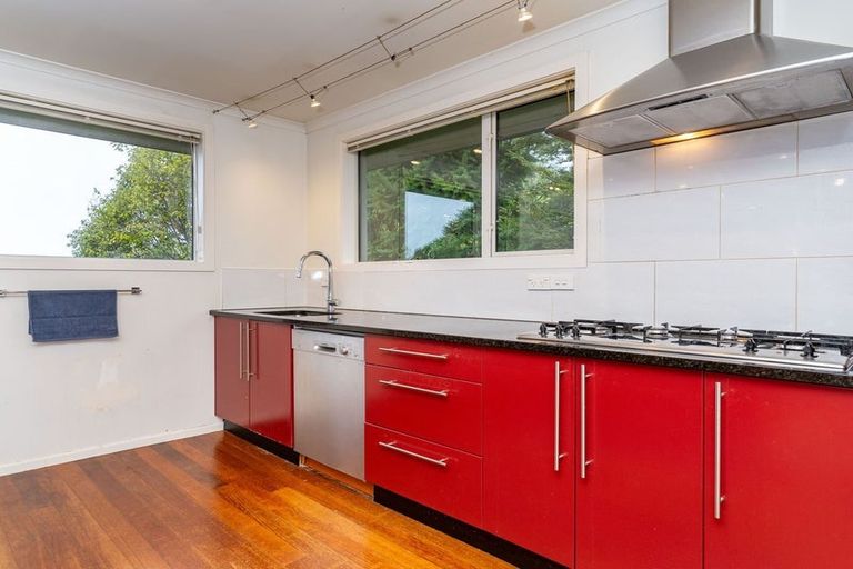 Photo of property in 45 Leven Street, Roslyn, Dunedin, 9010