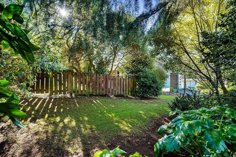 Photo of property in 30 Kowhai Street, Hamilton Lake, Hamilton, 3204